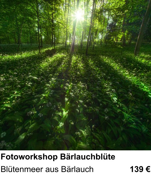 Authentischer Fotokurs über Fotoworkshop Bärlauchblüte: Blütenmeer aus Bärlauch