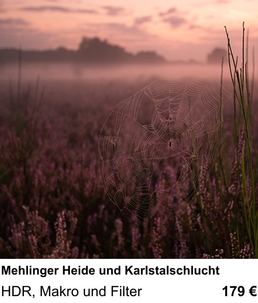 Authentischer Fotokurs über Mehlinger Heide und Karlstalschlucht: HDR, Makro und Filter
