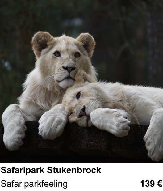 Authentischer Fotokurs über Safaripark Stukenbrock: Safariparkfeeling
