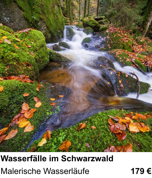 Authentischer Fotokurs über Wasserfälle im Schwarzwald: Malerische Wasserläufe