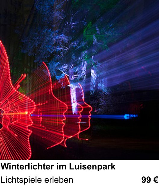 Authentischer Fotokurs über Winterlichter im Luisenpark: Lichtspiele erleben